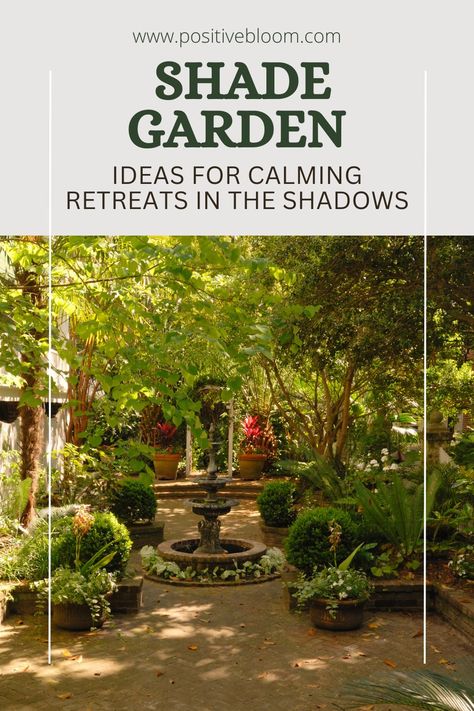 Check out these brilliant woodland shade garden ideas you can use to transform your landscape and discover some plants that grow best in those settings. Landscape Ideas For Shaded Areas, Shaded Garden Ideas, Woodland Landscaping Ideas, Shade Garden Ideas, Shade Tolerant Grass, Shaded Garden, Shade Landscaping, Sensory Garden, Gravel Garden