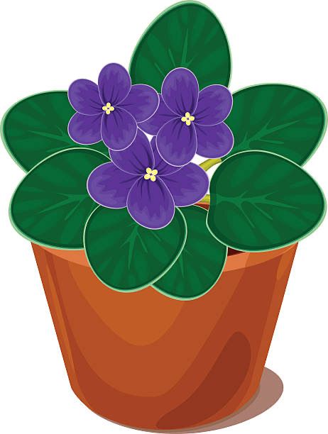 NK-Bambino. #202 African Violet Pots, Book Clip Art, Clipart Flowers, Christmas Cards Kids, Calendar Planner, Drawing Clipart, African Violet, Plant Painting, Quilling Patterns