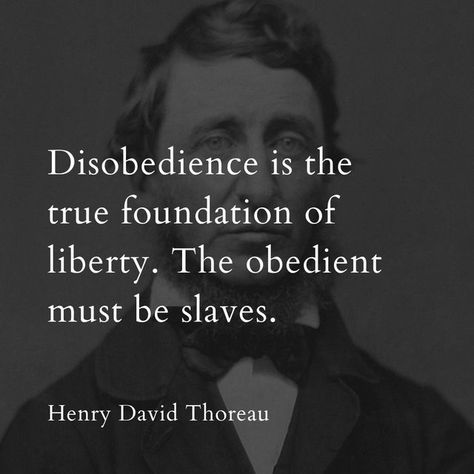 History Quotes Importance Of, Title Of Liberty, Henry David Thoreau Quotes Nature, Henry Van Dyke Quote, Henry David Thoreau Quotes, Thoreau Quotes, Henry David Thoreau, Philosophy Quotes, Movie Quotes