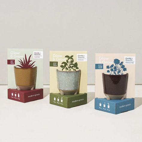 Kuselsbigstore (@kuselsbigstore) • Instagram photos and videos Glow And Grow, Grow Wildflowers, Candle Party Favors, Basil Seeds, Candle Glow, Eco Packaging, Grow Kit, Desert Oasis, Garden Kits