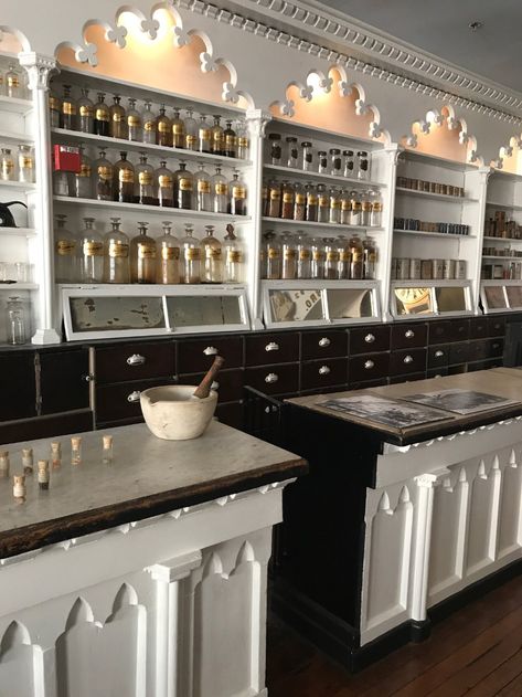 Gothic Apothecary Kitchen, Light Apothecary Aesthetic, Apothecary Bar Design, Chinese Apothecary Aesthetic, Victorian Apothecary Aesthetic, Apothecary Store Aesthetic, Apothecary Shop Aesthetic, Apothecary Style Kitchen, Modern Apothecary Aesthetic