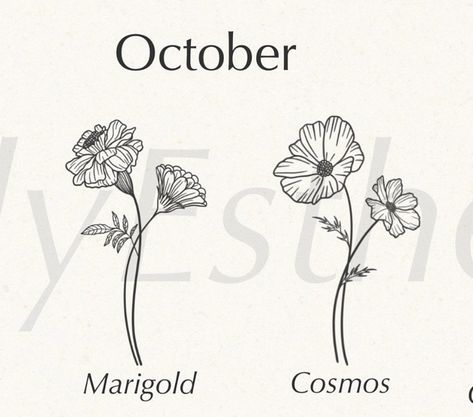 Cosmos Spine Tattoo, Marigold Spine Tattoo, Marigold Stencil, Marigold And Cosmos Flower Tattoo, October Tattoo Ideas, Marigold Tattoo, Cosmos Tattoo, Flower Bouquet Tattoo, October Flowers