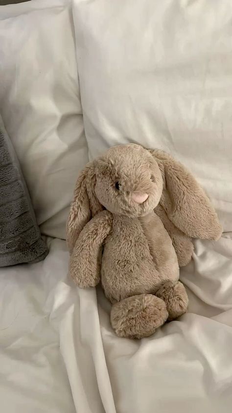 Rabbit Plushie Aesthetic, Jelly Cat Bunny Aesthetic, Jelly Cat Rabbit, Jelly Cats Bunny, Jelly Cat Bunnies, Jellycat Animals, Jellycats Aesthetic, Jellycat Rabbit, Jelly Cat Bunny