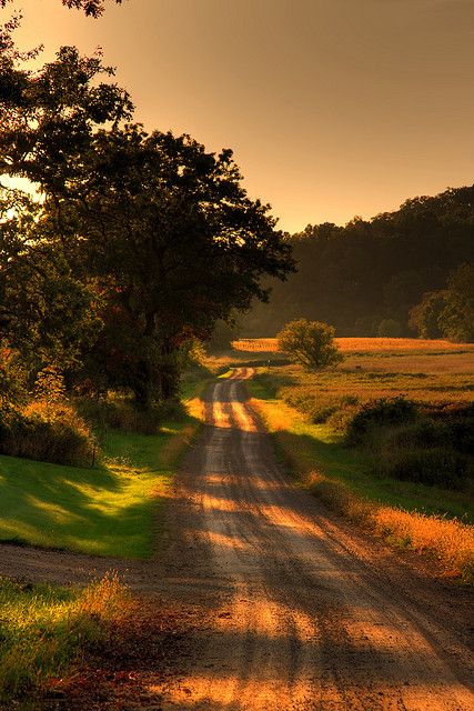 Country Road - Summer Dusk Country Roads Take Me Home, Sweet Home Alabama, Dirt Road, Back Road, Take Me Home, Lombok, Image Hd, Country Life, Country Living