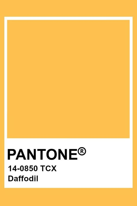 Pantone Daffodil Yellow Colour Pantone, Pantone Colors Yellow, Daffodil Color, Pantone Tcx, Pantone Colours, Yellow Pantone, Pantone Color Chart, Pantone Swatches, Daffodil Yellow