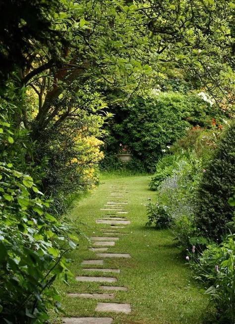 Budget Landscaping, Walkways Paths, Path Ideas, Path Design, Budget Garden, Cottage Garden Design, Garden Wallpaper, Gardening Techniques, Stone Path