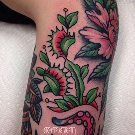 Carnivorous Plant Tattoo, Flytrap Plant, Plant Tattoo Ideas, Plant Tattoos, 2 Tattoo, Traditional Tattoo Flowers, Tattoo Plant, Traditional Style Tattoo, Tattoo Filler