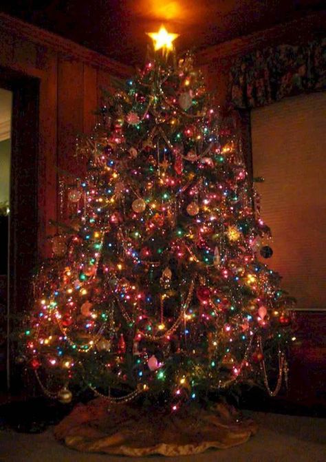 Colored Light Christmas Tree Ideas, Christmas Tree With Coloured Lights, Christmas Tree Wallpaper, Hall Kitchen, Colored Lights, Tacky Christmas, Farmhouse Christmas Tree, Elegant Christmas Trees, Tree Light