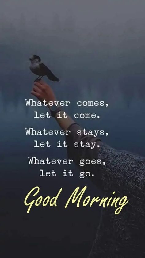 Simple Good Morning Quotes, Simple Good Morning, Quotes From Authors, Morning Peace, Good Morning Motivation, Positive Quotes Wallpaper, Coffee Gif, Daily Greetings, Cute Good Morning Images