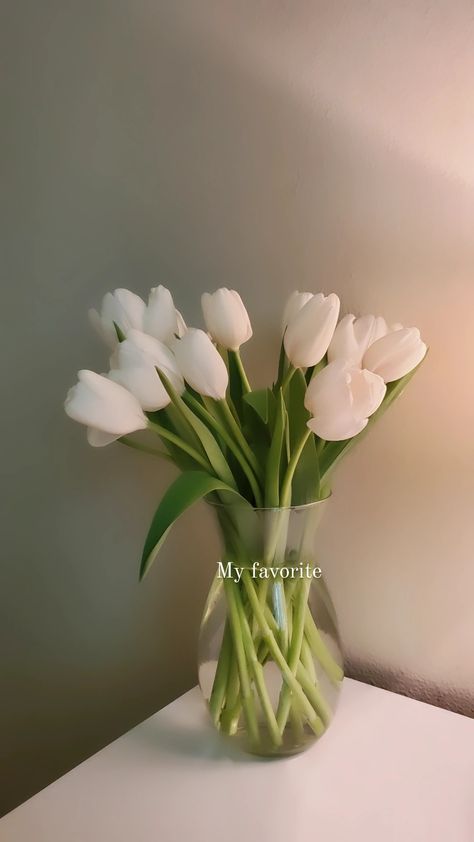 White Room Decor, Clear Vase, Boquette Flowers, Flower Gift Ideas, Plant Therapy, Nothing But Flowers, Flower Bomb, Flower Therapy, White Tulips