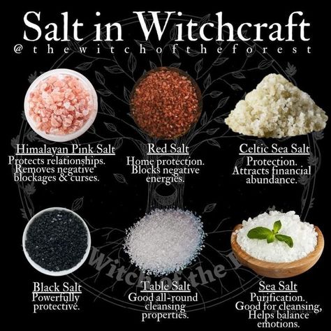 Wicca Recipes, Witch Herbs, Witch Rituals, Magia Das Ervas, Wiccan Magic, Witch Spirituality, Magic Spell Book, Magic Herbs, Black Salt