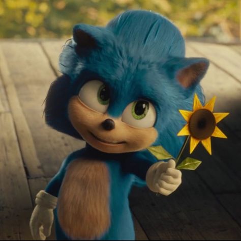 Action Movie Stars, Sonic The Movie, Sonic Movie, Hedgehog Movie, Sonic Funny, Blue Hedgehog, Live Action Movie, Photo Composition, Animation Movie