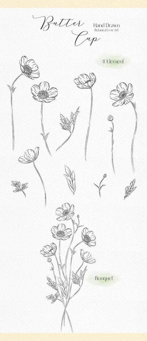 Line drawing  buttercup clip art wildflower svg botanical | Etsy | Design by  Joey Felder Meadow Buttercup Tattoo, Buttercups Flowers Drawing, Buttercups Flower Tattoo, Buttercup Flowers Tattoo, How To Draw Buttercup, Individual Flower Drawing, Buttercup Drawing Flower, Buttercup Flower Tattoos, Simple Flower Drawing Bouquet