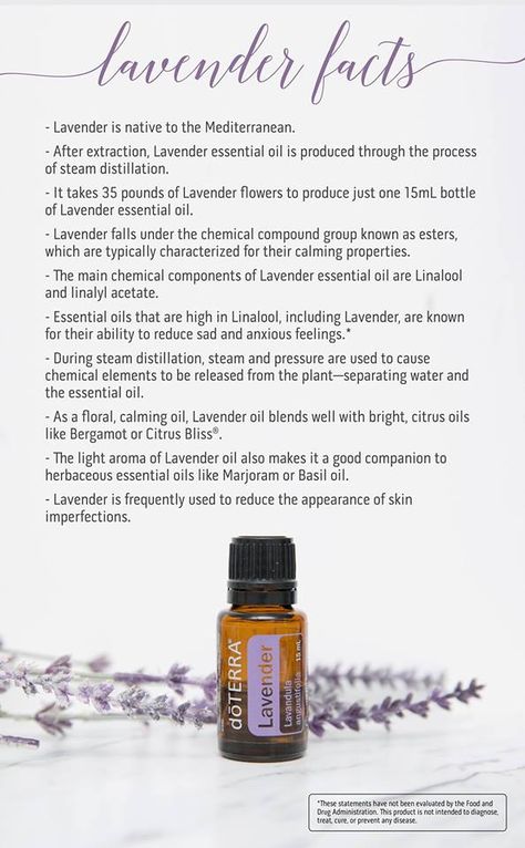 Terra Essential Oils, Doterra Lavender, Oils For Sleep, Stinging Nettle, Doterra Wellness Advocate, Oil Diffuser Recipes, Health Practices, Essential Oil Benefits, Doterra Oils