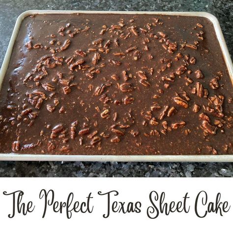 The Perfect Texas Sheet Cake Cakes To Bake, Texas Chocolate Sheet Cake, Chocolate Sheet Cake Recipe, Cinnamon Streusel Coffee Cake, Texas Sheet Cake Recipe, Pecan Frosting, Caramel Recipe, Texas Sheet, Dump Cakes