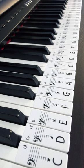 Piano Chords Chart, Learning Piano, Piano Music Lessons, Blues Piano, Piano Practice, Not Musik, Easy Reference, Music Chords, Piano Songs