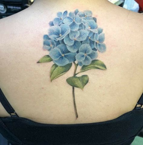 Hydrangea Tattoos, Orchid Centerpieces Wedding, Cactus Flower Painting, Orchid Flower Tattoos, Hydrangea Tattoo, Orchid Illustration, Orchids Care For Beginners, Orchid Wallpaper, Orchid Drawing