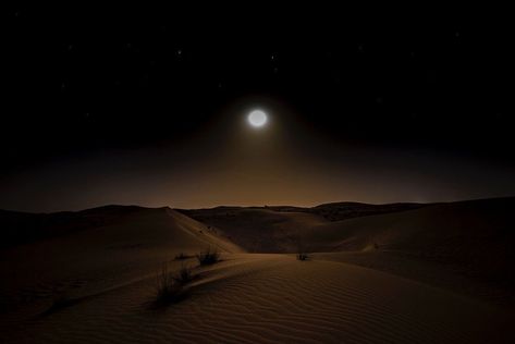 Arabian Nights Desert, Night Desert Photoshoot, Desert At Night Aesthetic, Night Desert Aesthetic, Desert Night Aesthetic, Dark Desert Aesthetic, Night Time Desert, Arabian Desert Aesthetic, Nevada Aesthetic