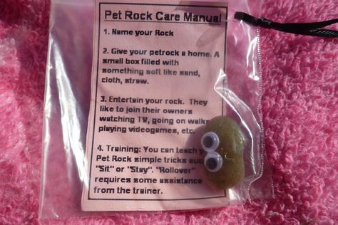 Rock Pet Ideas, Pet Rock Ideas Diy, How To Make A Pet Rock, Pet Rock Ideas, Rock Pets, Pet Rock, Silly Gifts, Gag Gifts Funny, Cadeau Diy