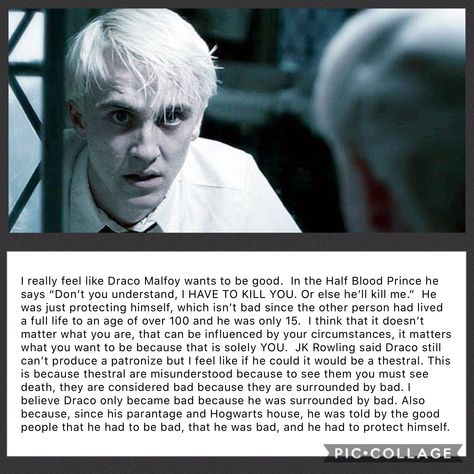 Draco Malfoy X Reader Imagines, Werewolf Draco Malfoy, Gay Harry Potter And Draco Malfoy, Draco Malfoy Facts, Draco Headcanons, Imagine Draco Malfoy, Malfoy Quotes, Draco Malfoy Headcanon, Draco Malfoy Quotes