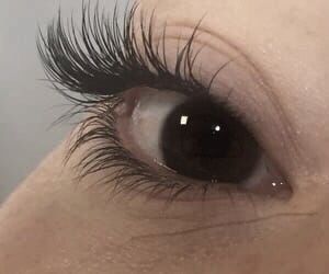 Brown Eye, Aesthetic Eyes, Longer Eyelashes, Long Lashes, Perfect Life, Natural Lashes, Dream Body, Pretty Eyes, Dream Board