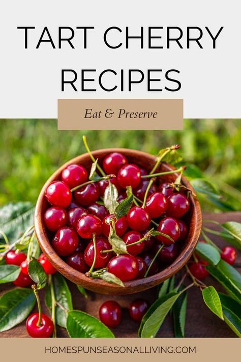 Make the most of tart cherries with these recipes for baking, cooking, and preserving. Tart Cherry Recipes Healthy, Tart Cherry Recipes, Cherry Recipes Healthy, Tart Cherry Jam, Cherries Recipes, Cherry Jam Recipe, Tart Cherries Recipes, Sour Cherry Recipes, Fresh Cherry Recipes