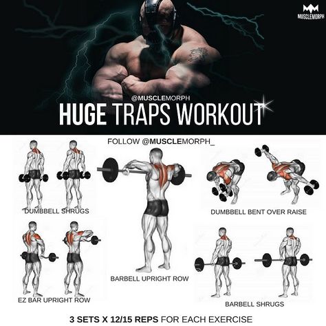 Traps And Lats Workout, Back And Traps Workout, Shoulder Shrugs Workout, Bane Workout, Shrugs Workout, Traps Exercises, Shoulder And Trap Workout, Traps Workout, Weekly Workout Plans