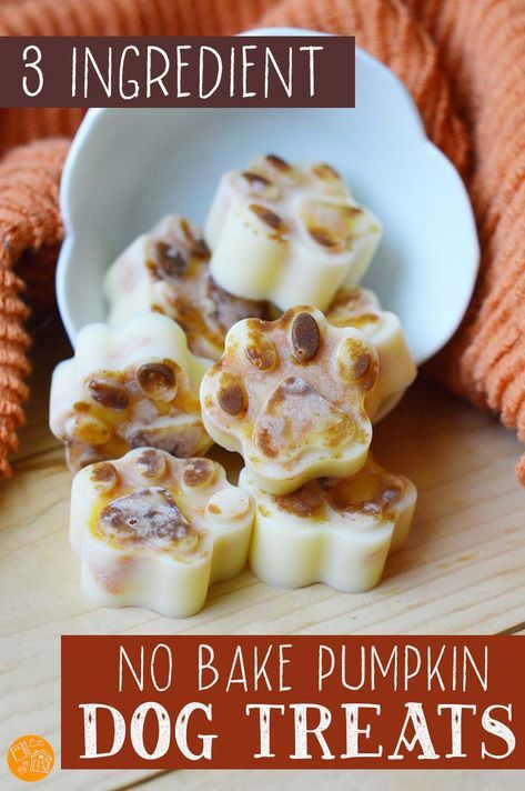 No Bake Pumpkin Dog Treats, No Bake Dog Treats, Pet Treats Recipes, No Bake Pumpkin, Dog Treats Homemade Easy, Easy Dog Treat Recipes, Frozen Dog Treats, Dog Biscuit, Dog Biscuit Recipes