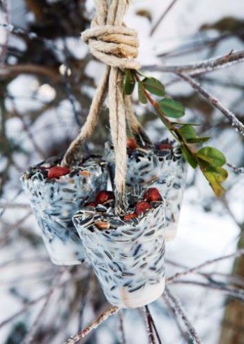 Winter Bird Feeders, Suet Cakes, Bird Seed Ornaments, Birds Garden, Homemade Bird Feeders, Bird Treats, Diy Bird Feeder, For The Birds, Diy Birds