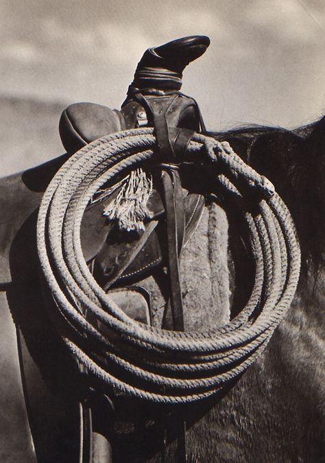 cowboy | horse | saddle | rope | skin | sky | leather | www.republicofyou.com.au Cowboys And Angels, Cowboy Aesthetic, Western Photography, Wilde Westen, Into The West, Paint Horse, Western Wall Art, Cowboy Girl, Rodeo Life