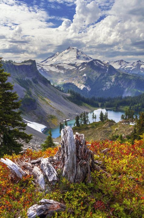 colour my world Mt St Helens, Mt Baker, St Helens, Beautiful Places Nature, Alam Yang Indah, Pretty Places, Nature Scenes, Washington State, Amazing Nature