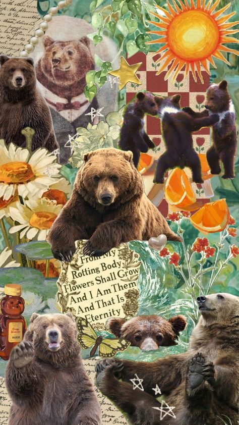 #bear #brownbears #forest #summer Bear Background Aesthetic, Woodsy Wallpaper, Bear Phone Wallpaper, Bear Therian, Bear Wallpaper Aesthetic, Iphone Wallpaper Jordan, Woodland Aesthetic, Bears Wallpaper, Bear Aesthetic