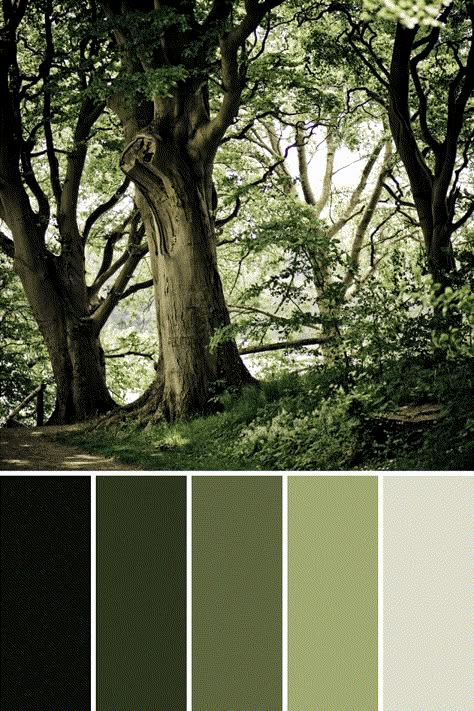 Tree Color Palettes - This Growing Home Earth Green Colour Palette, All Green Color Palette, Earth Green Color Palette, Pine Tree Color Palette, Moss Colour Palette, Green Palette Colour, Plants Color Palette, Earth Pallete Color, Forest Color Palette Earth Tones