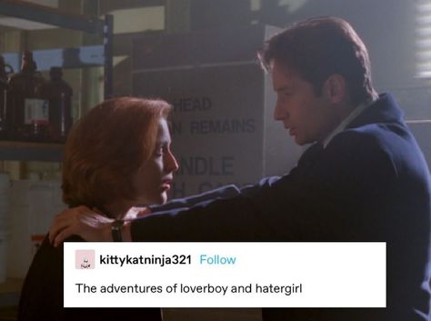 X Files Fanart, X Files Funny, Mulder Scully, Community Show, Sci Fi Shows, Fox Mulder, Dana Scully, Chosen Family, Question Everything