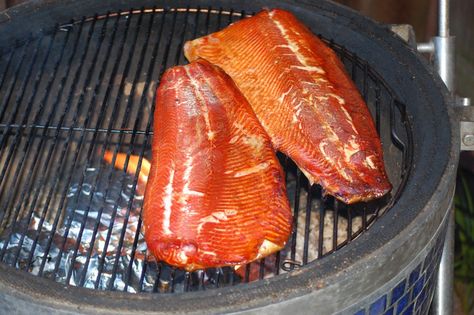 A easy and delicious smoked salmon with a dry brine recipe that is perfect as a main course, appetizer or with a salad. Smoked Salmon Brine, Smoked Trout Recipe, Smoked Fish Recipe, Indian Appetizer Recipes, Bacon Recipes Appetizers, Trout Recipe, Dry Brine, Smoked Salmon Appetizer, Trout Recipes