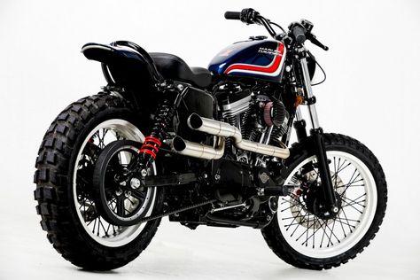 Sportster Street Scrambler by Rock Solid Motorcycles – BikeBound Sportster Tracker, Harley Scrambler, Sportster Scrambler, Sportster Cafe Racer, Harley Davidson Scrambler, Hd Sportster, Harley Davidson Pictures, Hd Motorcycles, Harley Davidson Sportster 1200