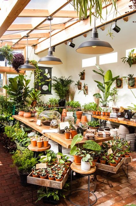 Indoor Plant Nursery Ideas, Garden Shop Ideas, Plant Store Ideas, Plant Shop Ideas, Plant Shop Aesthetic, Garden Center Displays, Lots Of Plants, Plant Store, Greenhouse Plans