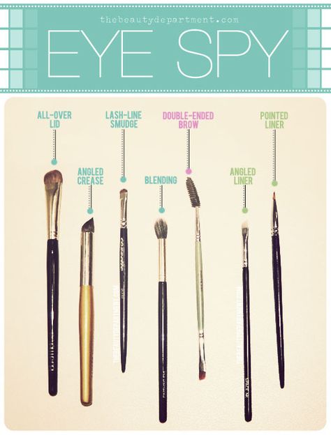 The Beauty Department: Your Daily Dose of Pretty. - WHICH BRUSH DOES WHAT: EYES Types Of Makeup Brushes, Drag Make-up, Eye Base, Eye Spy, Eye Makeup Brushes, Eyeshadow Brush, The Beauty Department, Eye Brushes, Kiss Makeup