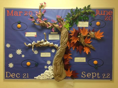 4 seasons bulletin board made by yours truly and 2 of my awesome classmates! 4 Seasons Bulletin Board Ideas, Weather Bulletin Board Kindergarten, Season Display Board Eyfs, Season Board Preschool, Four Seasons Bulletin Board Ideas, Fall Science Bulletin Boards, Seasons Board Preschool, Seasons Display Eyfs, 4 Seasons Kindergarten