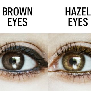 Eye Makeup Hazel Eyes, Best Volumizing Mascara, Best Mascaras, Eyeliner Color, Hazel Eye Makeup, Eyebrow Makeup Tips, Eyeshadow For Brown Eyes, Hair And Makeup Tips, Best Eyeliner