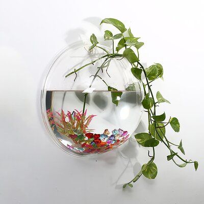 Unique fish bowls