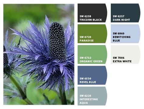 Paint colors from Chip It! by Sherwin-Williams Sherwin Williams Paradise, Sherwin Williams Color Palette, Moon Pie, Color Me Beautiful, Color Psychology, Crazy Colour, Colour Board, Art Color, Wedding Color