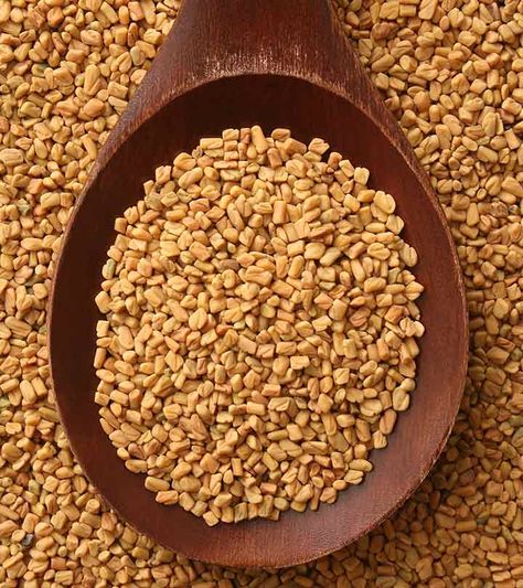 23 Best Benefits Of Fenugreek/Methi Powder For Skin, Hair And Health Fenugreek Recipes, Coconut Oil For Dandruff, Fenugreek Powder, Fenugreek Benefits, Oils For Dandruff, Promote Healthy Hair Growth, Fenugreek Seeds, Mild Shampoo, Hot Flashes