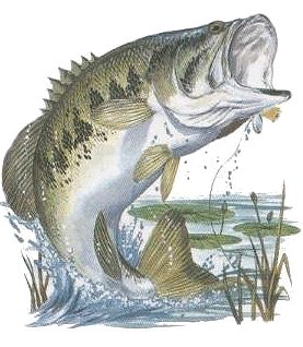 Bass Painting, Bass Tattoo, Bass Fishing Pictures, Fishing Painting, Jumping Fish, Fish Images, Large Mouth Bass, Image Of Fish, Rustic Painting