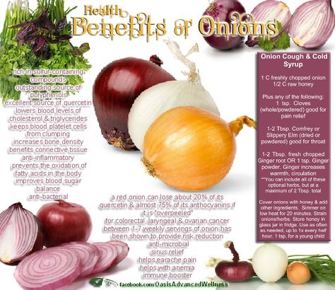 Health Benefits of Onions Health Benefits Of Onions, Benefits Of Onions, Onion Benefits, Onion Benefits Health, Healing Food, Food Facts, Health Remedies, Red Onion, Raw Food Recipes