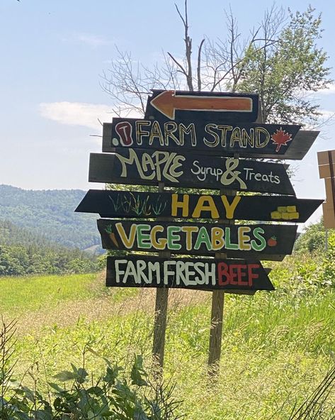 How adorable is this!! ❤️ these farm stand signs. Stopped and chatted with the folks running this stand and they just got seedlings coming up so it’s gonna be a minute before fresh produce hits the stand. But you don’t have to grow your own produce to run a roadside stand…you can be a re-seller like me! #sidehustle #financialindependence #financialfreedom #startups #startupbusiness Farm Stand Signs, Roadside Stand, Vegetable Farming, Farm Stand, The Stand, Plant Nursery, Start Up Business, Grow Your Own, Farm Fresh