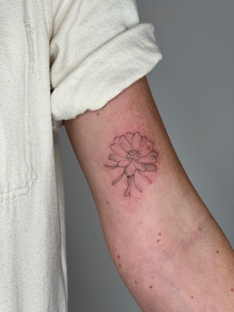 Montana State Flower Tattoo, Montana Flower Tattoo, Montana Tattoo For Women, Bitterroot Flower Tattoo, Montana Tattoos, Montana Tattoo Ideas, Montana Tattoo, Art Tattoos, Flower Tattoo Designs