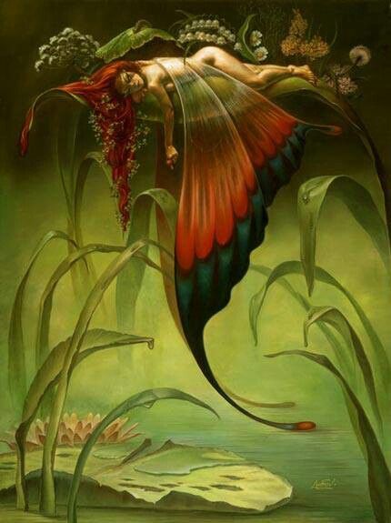 Magical Beings, Heroic Fantasy, Elves And Fairies, Fairy Dragon, Fairy Pictures, Text Tool, Love Fairy, Fairies Elves, Fairy Magic