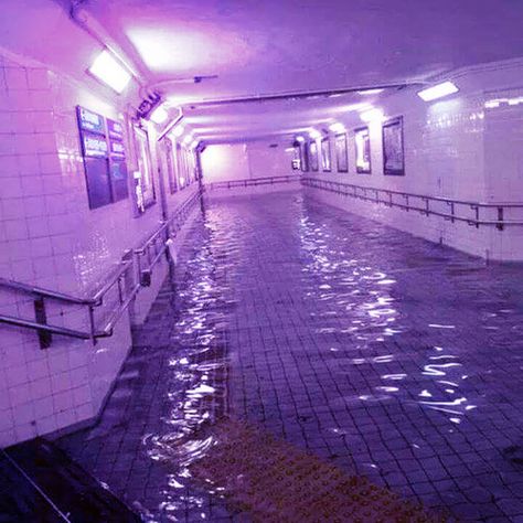 Image about subway in Alternative/indie by ஐMoteஐ Sea Town, Violet Aesthetic, Purple Vibe, Lavender Aesthetic, New Retro Wave, Dark Purple Aesthetic, Purple Themes, Vaporwave Aesthetic, Rainbow Aesthetic