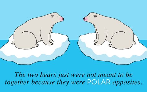 50 Bear Puns That Are UnBEARably Hilarious | Thought Catalog Bear Jokes, Bear Puns, Signs Guys Like You, Snow Bear, Animal Puns, Yogi Bear, Flirting Quotes For Her, Panda Love, Meant To Be Together